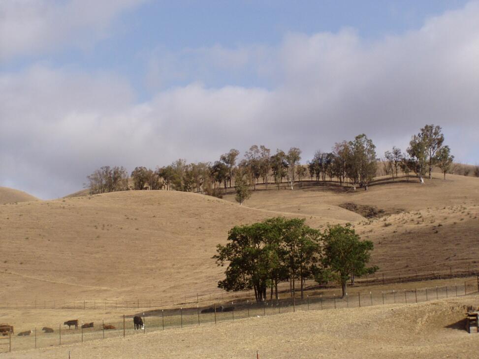 Halpin Ranch for Sale in Shandon Farm & Ranch