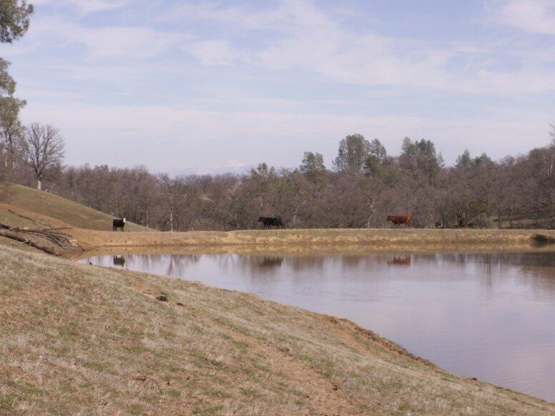 Elder Creek Ranch for Sale in Rancho Tehama Reserve, CA Tehama County