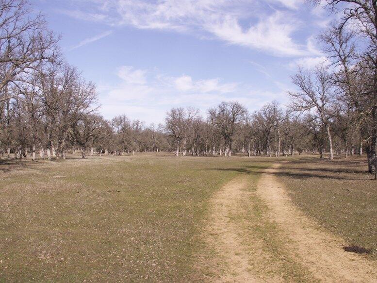 Elder Creek Ranch for Sale in Rancho Tehama Reserve, CA Tehama County