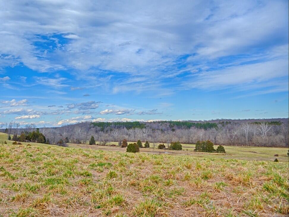 Rappahannock River Farm for Sale in Elkwood, VA Culpeper County