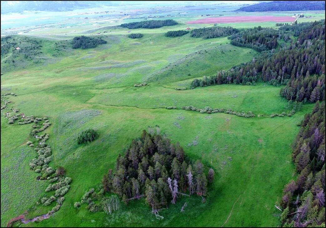 Black Mountain Ranch Freedom, ID Caribou County Land for Sale