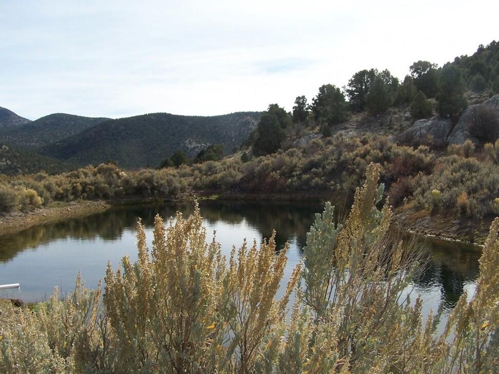 Schaefer Ranch for Sale in Farm & Ranch