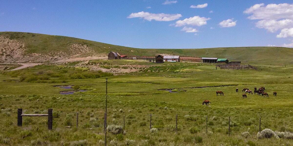 Porcupine Ridge Ranch for Sale in Toponas, CO Farm & Ranch