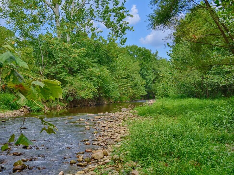 Rapidan River Frontage for Sale in Graves Mill, VA Madison County