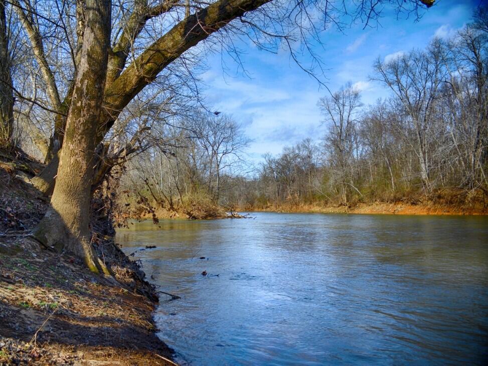 Rappahannock River Farm for Sale in Elkwood, VA Culpeper County
