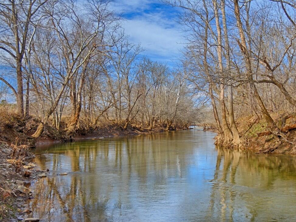 Rappahannock River Farm for Sale in Elkwood, VA Culpeper County