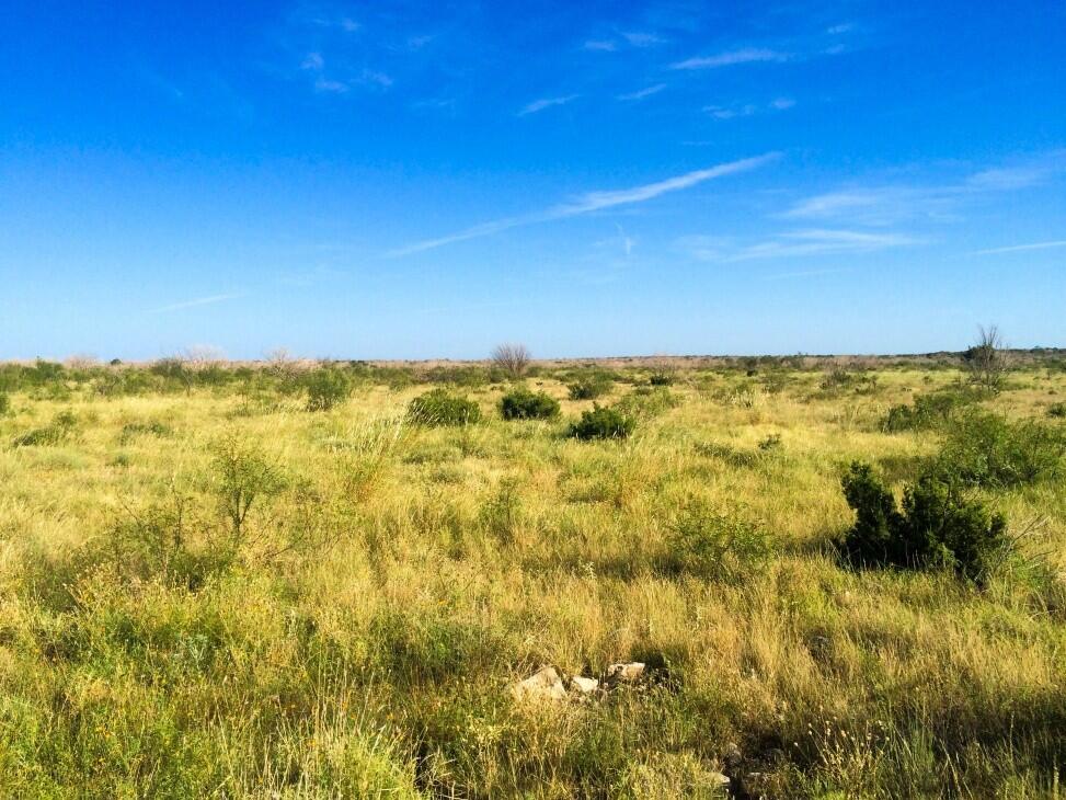 Split Rock Ranch for Sale in Ozona, TX Farm & Ranch