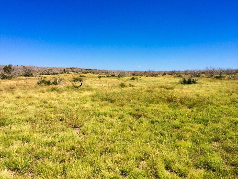 Split Rock Ranch for Sale in Ozona, TX Farm & Ranch