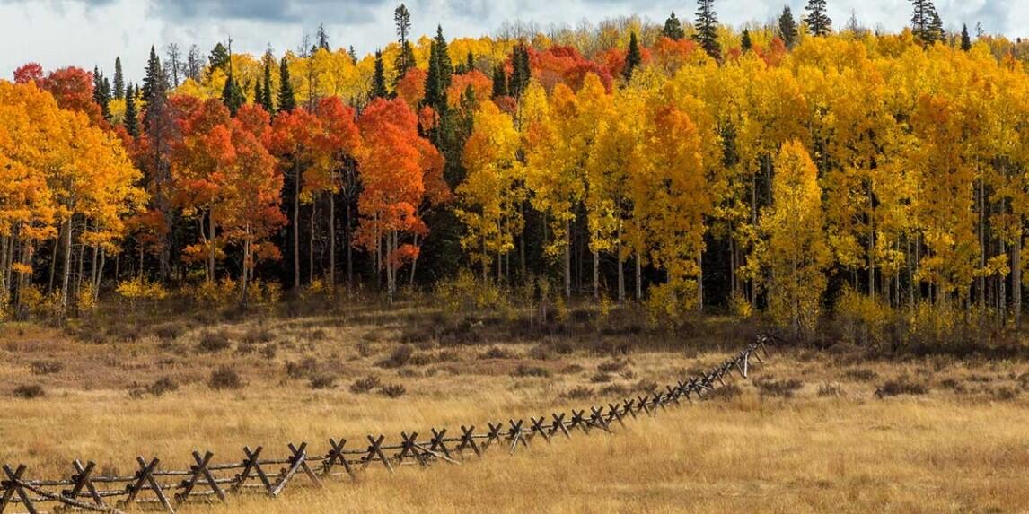 Singing Elk Ranch for Sale in Yampa, CO Routt County Farm & Ranch