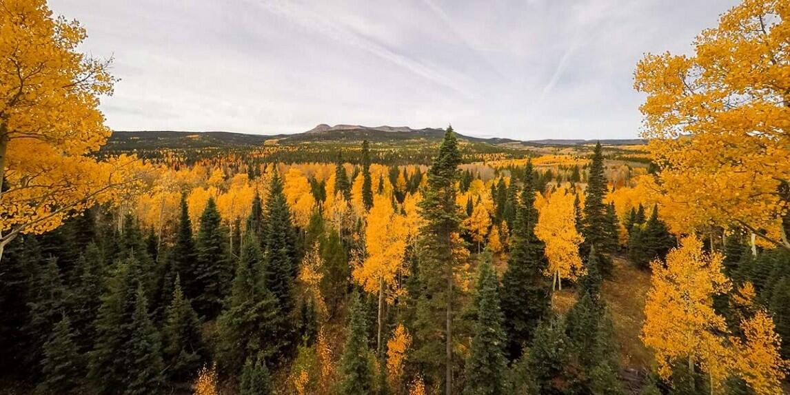 Singing Elk Ranch for Sale in Yampa, CO Routt County Farm & Ranch