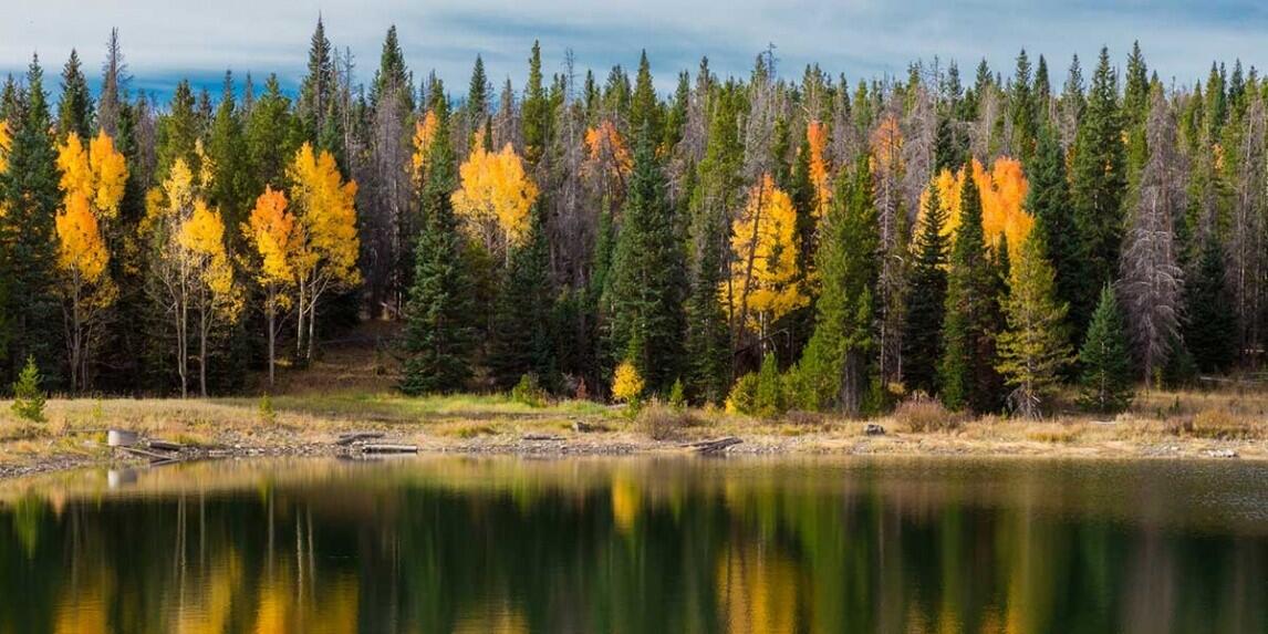 Singing Elk Ranch for Sale in Yampa, CO Routt County Farm & Ranch