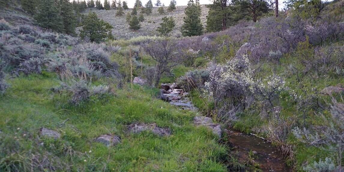 Sunrise Ridge Ranch for Sale in Esterbrook, WY Converse County Farm