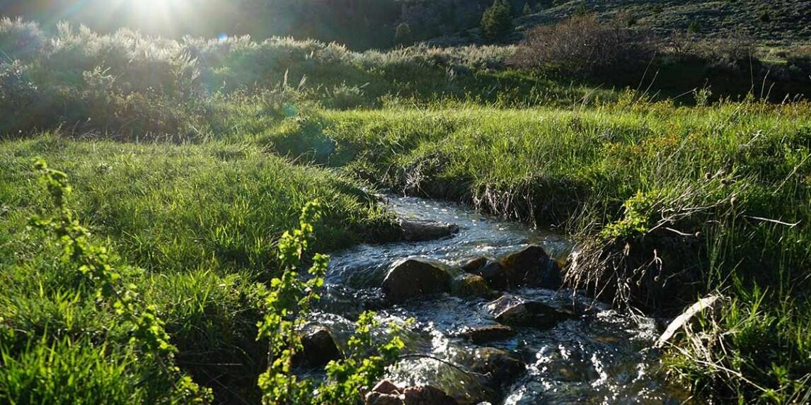 Sunrise Ridge Ranch for Sale in Esterbrook, WY Converse County Farm