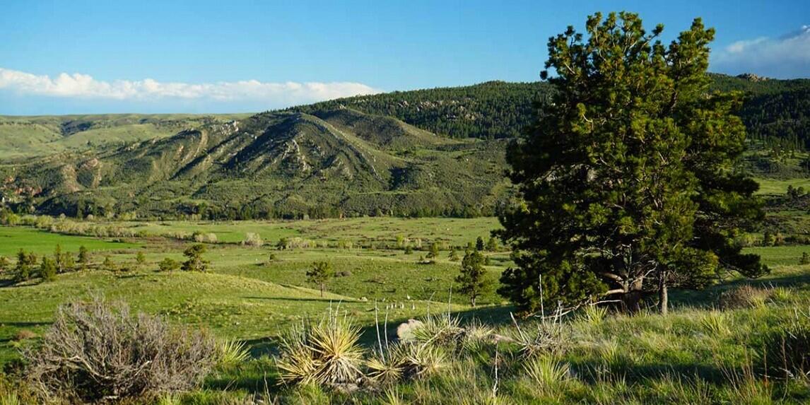 Sunrise Ridge Ranch for Sale in Esterbrook, WY Converse County Farm