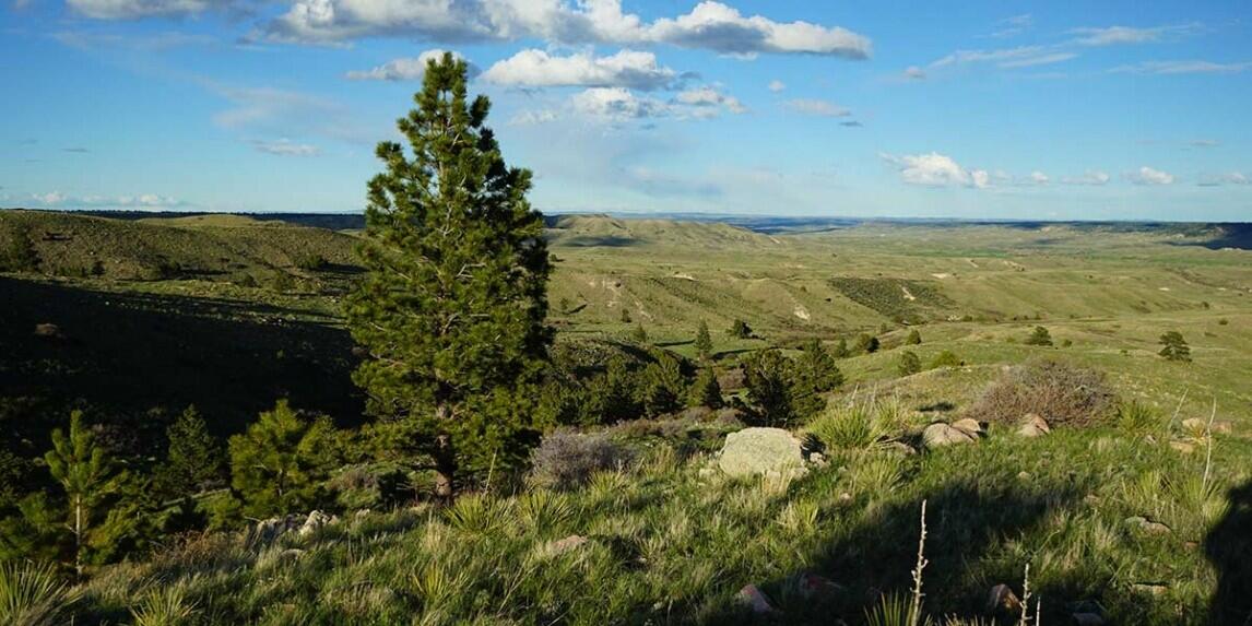 Sunrise Ridge Ranch for Sale in Esterbrook, WY Converse County Farm