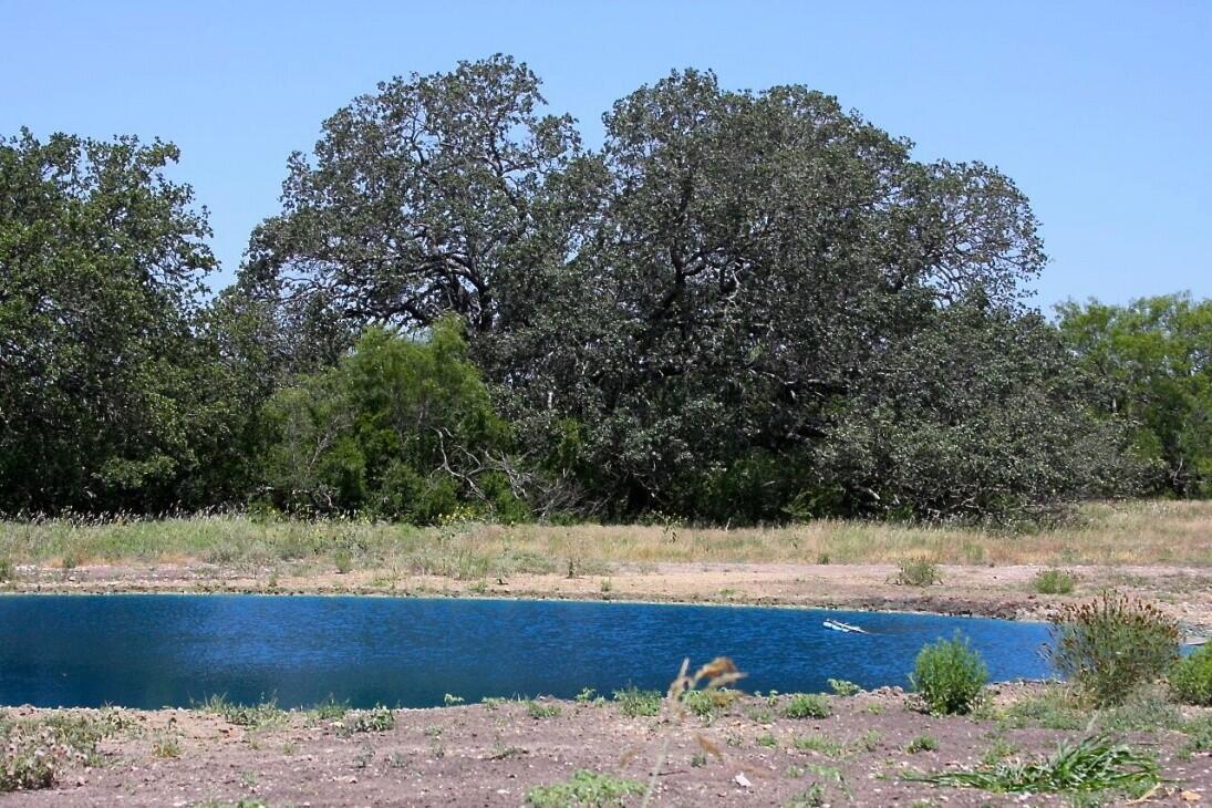 Black Creek Ranch for Sale in Dunlay, TX Medina County Farm & Ranch