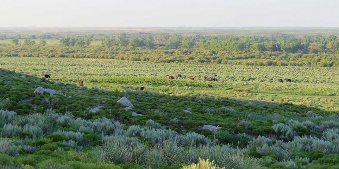 White Ranch for Sale in Walsh, CO Baca County Farm & Ranch