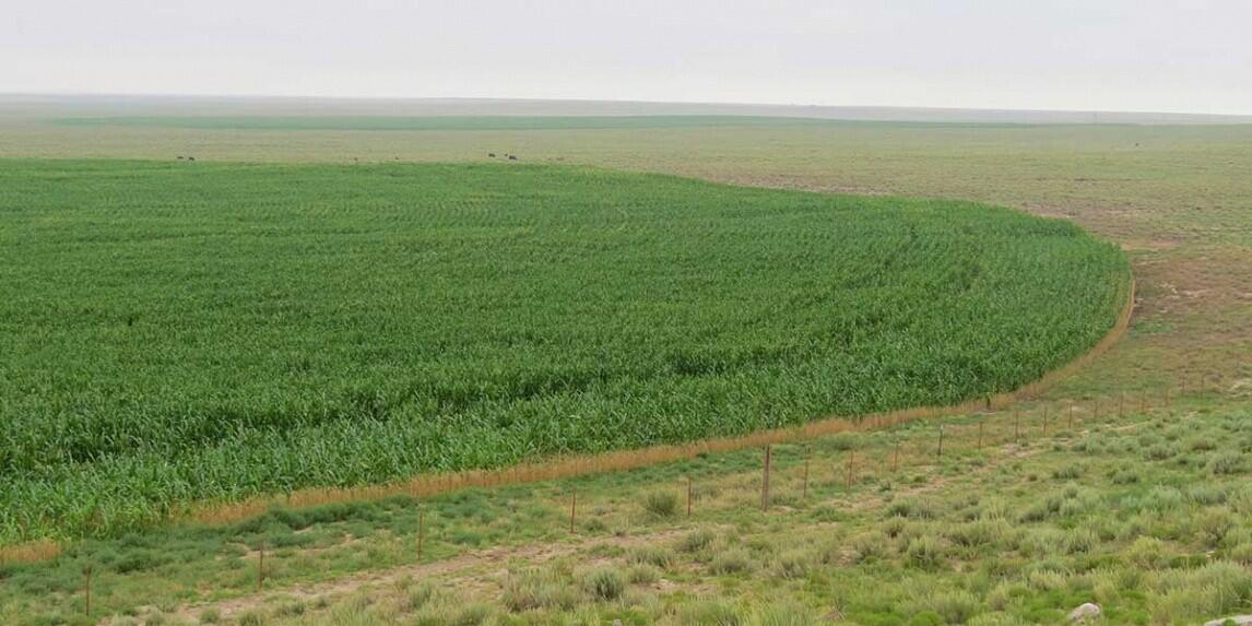 White Ranch for Sale in Walsh, CO Baca County Farm & Ranch