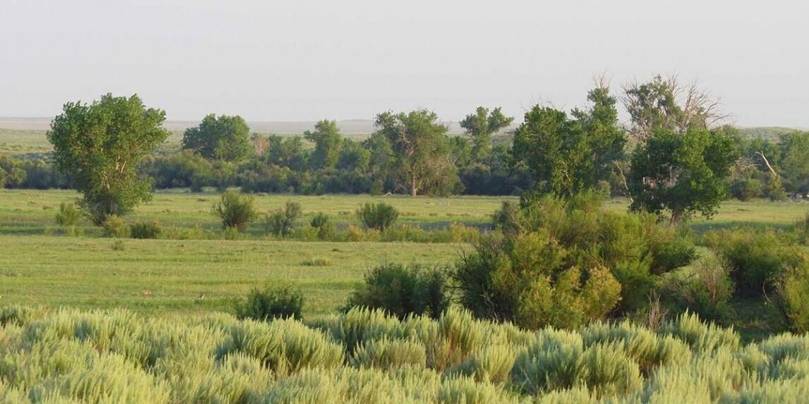 White Ranch for Sale in Walsh, CO Baca County Farm & Ranch