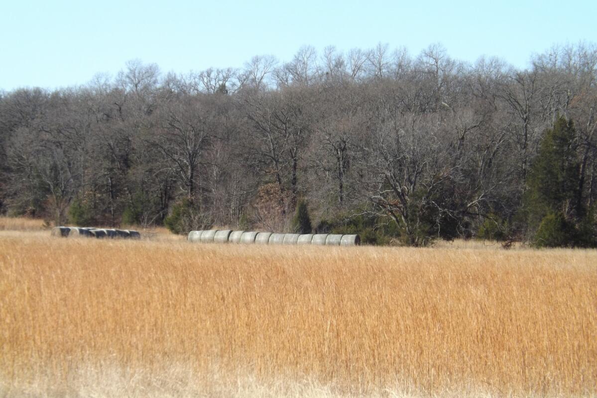 Big Creek 105skb for Sale in Atwood, OK Hughes County Farm & Ranch