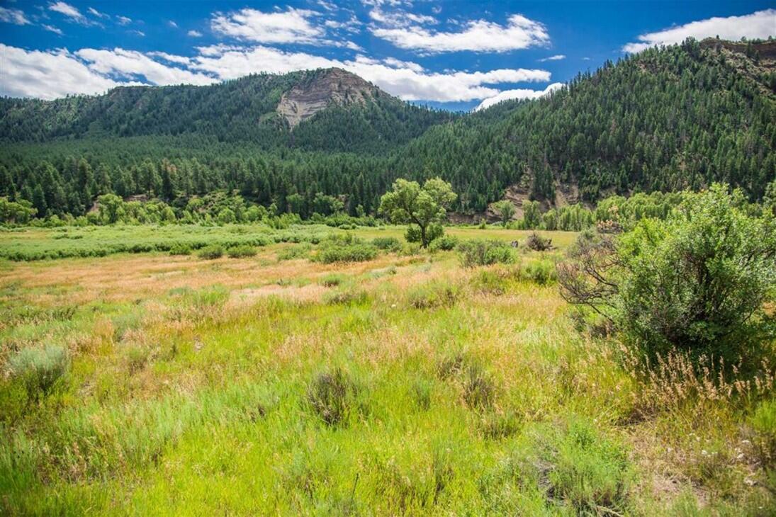 Adams Ranch Pagosa Springs, CO Archuleta County Land for Sale