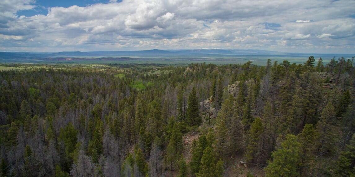Bear Camp for Sale in Tie Siding, WY Albany County Farm & Ranch