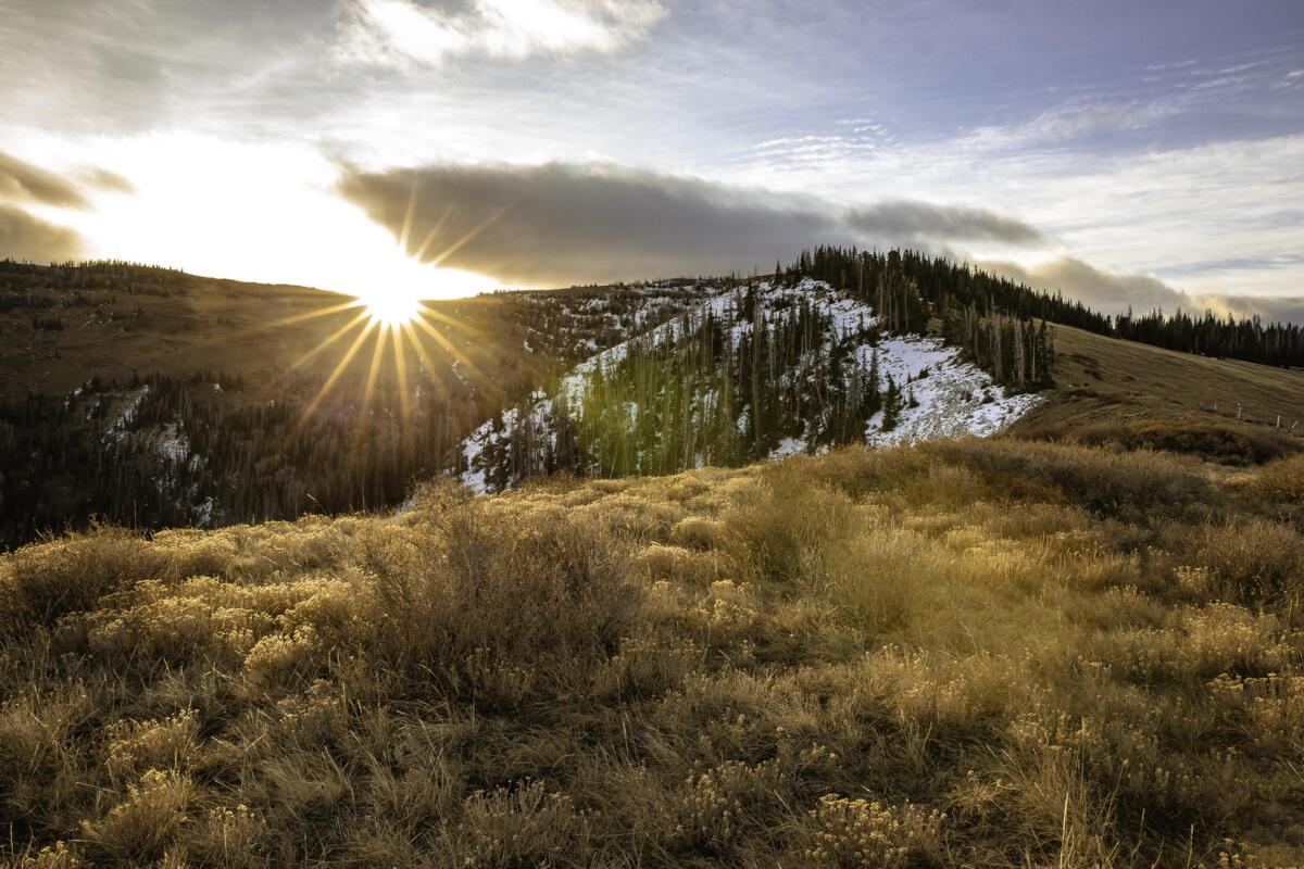 Bear Mountain Ranch for Sale in Mount Pleasant, UT Sanpete County Farm & Ranch