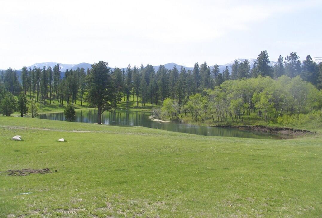 Beartooth Mountain Ranch for Sale in Fishtail, MT Stillwater County