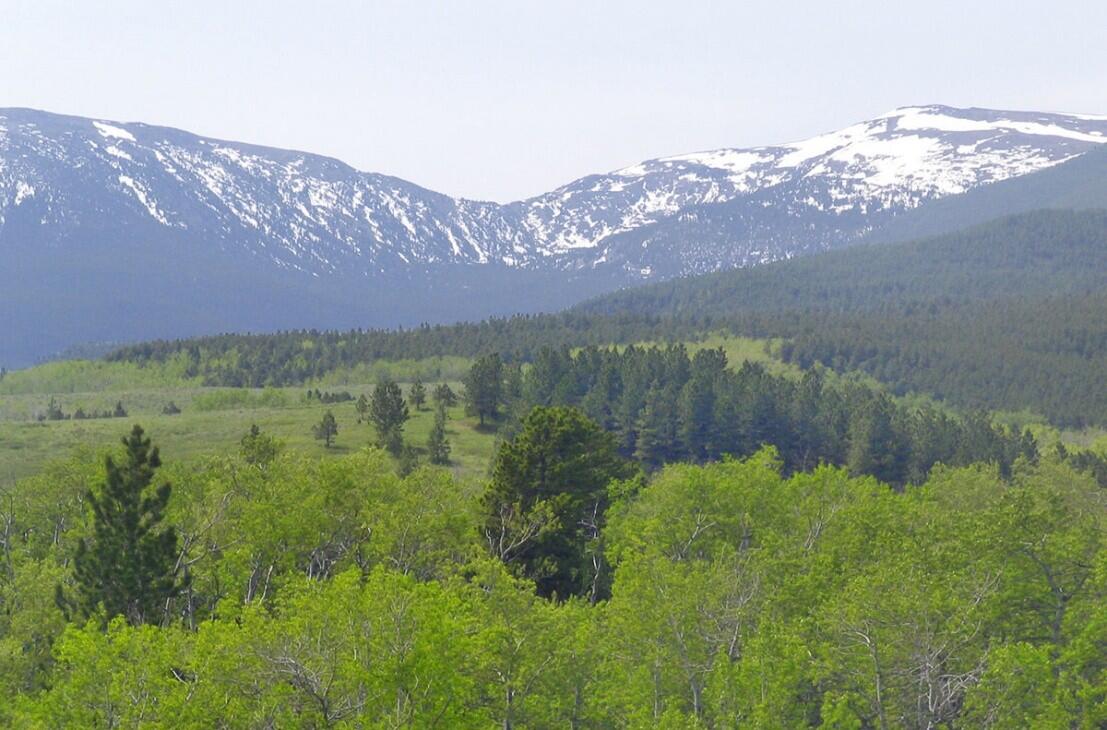 Beartooth Mountain Ranch for Sale in Fishtail, MT Stillwater County