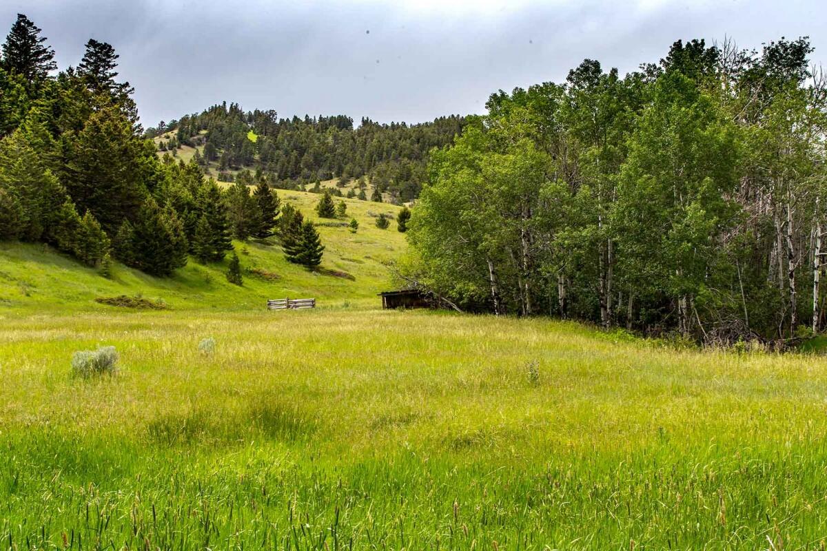 EBR Benton Creek Unit White Sulphur Springs, MT Meagher County