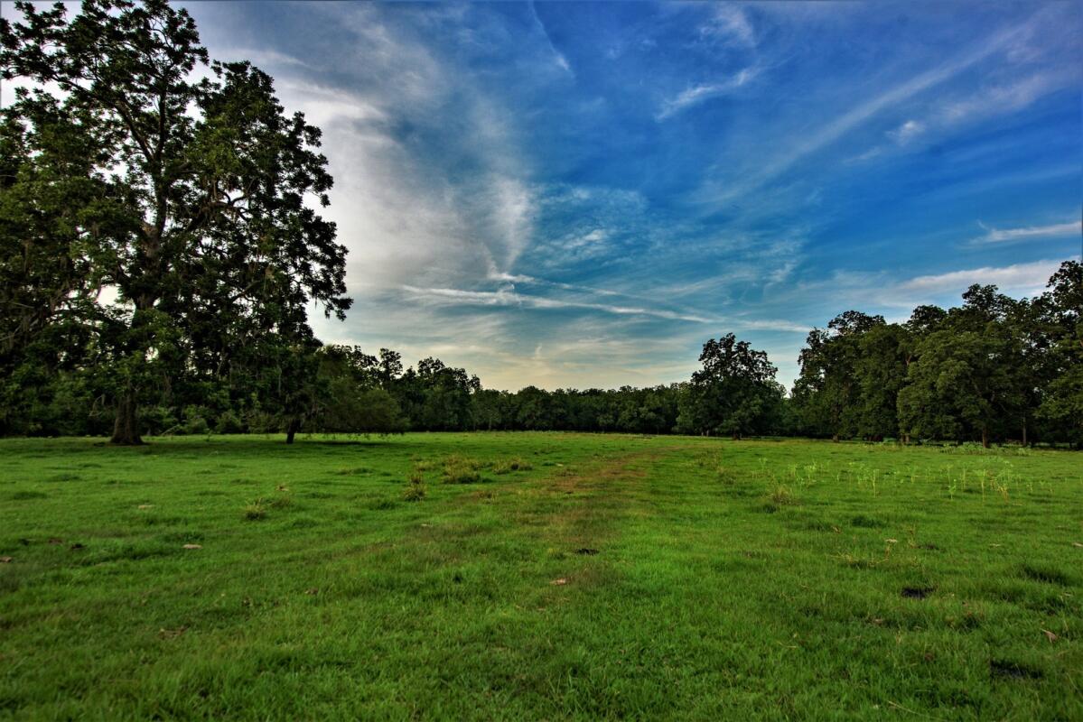 7017 County Road 100 for Sale in Boling, TX Wharton County Farm & Ranch