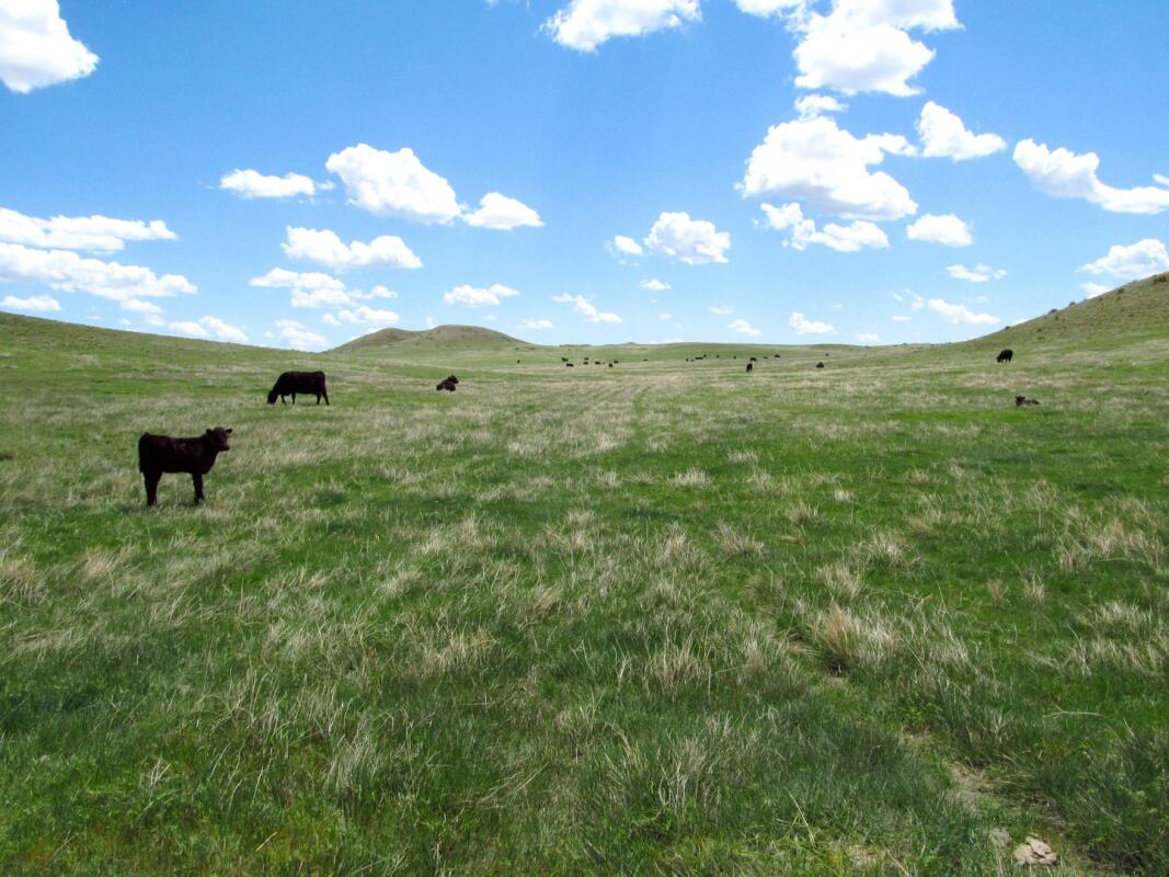 C Milliron Ranch for Sale in Bridgeport, NE Morrill County Farm & Ranch
