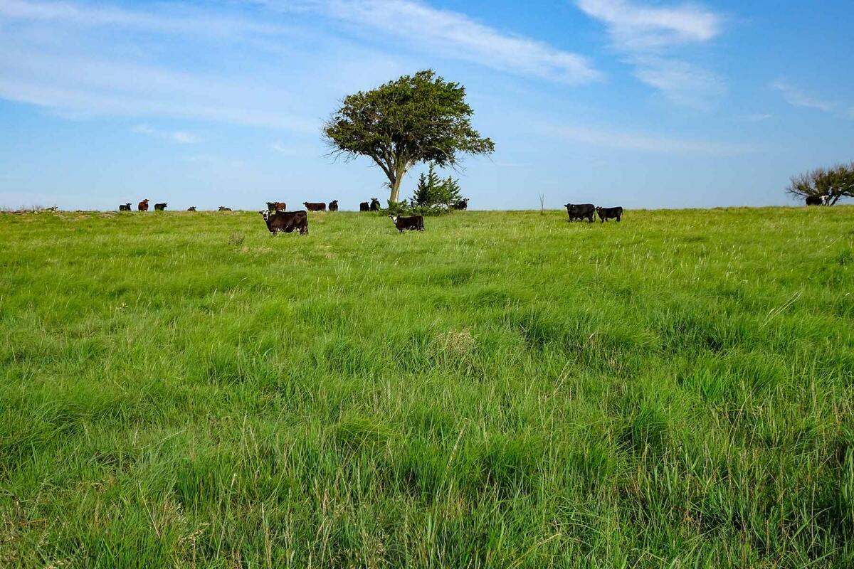 Cedar Vale Ranch for Sale in Cedar Vale, KS Chautauqua County Farm