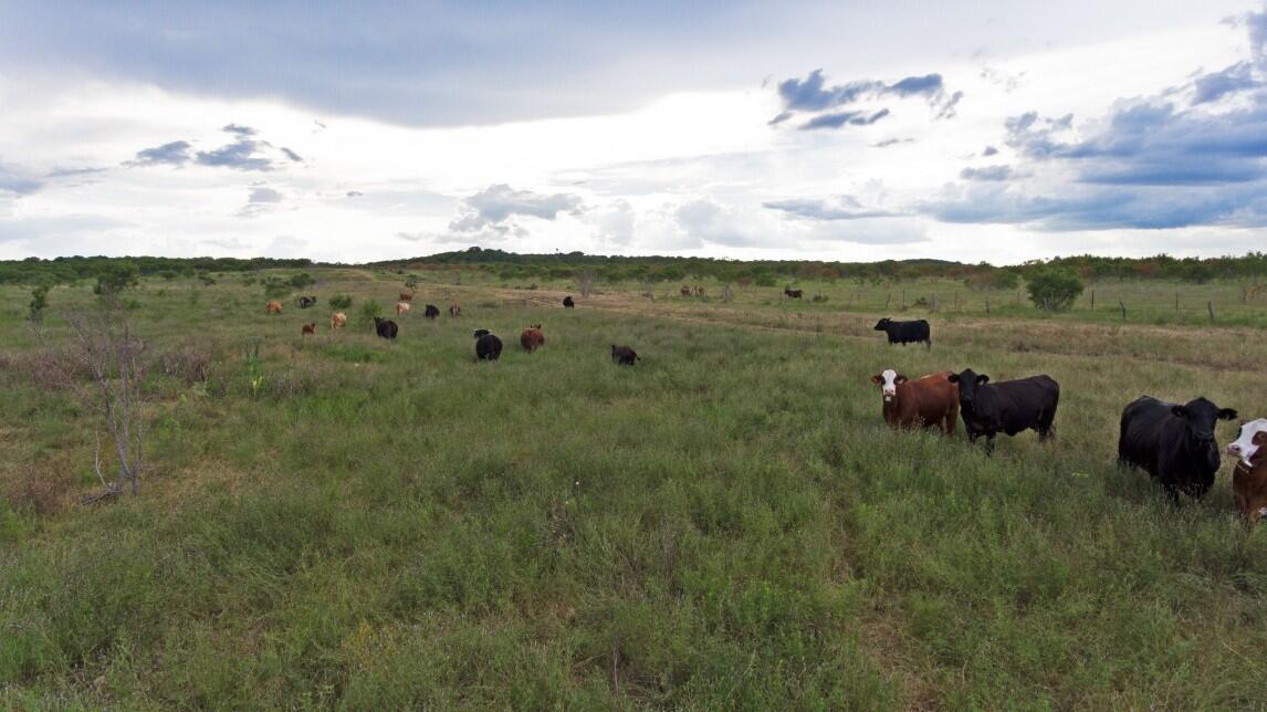 Medina River Ranch for Sale in Rio Medina Farm & Ranch