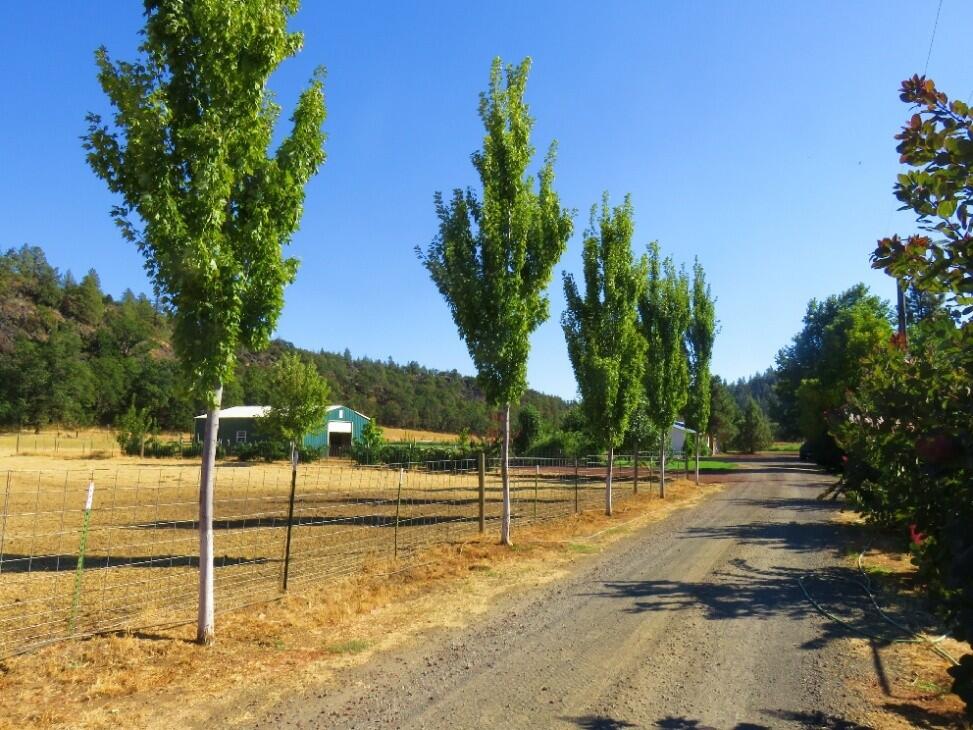 The Home Ranch for Sale in McArthur, CA Lassen County Farm & Ranch