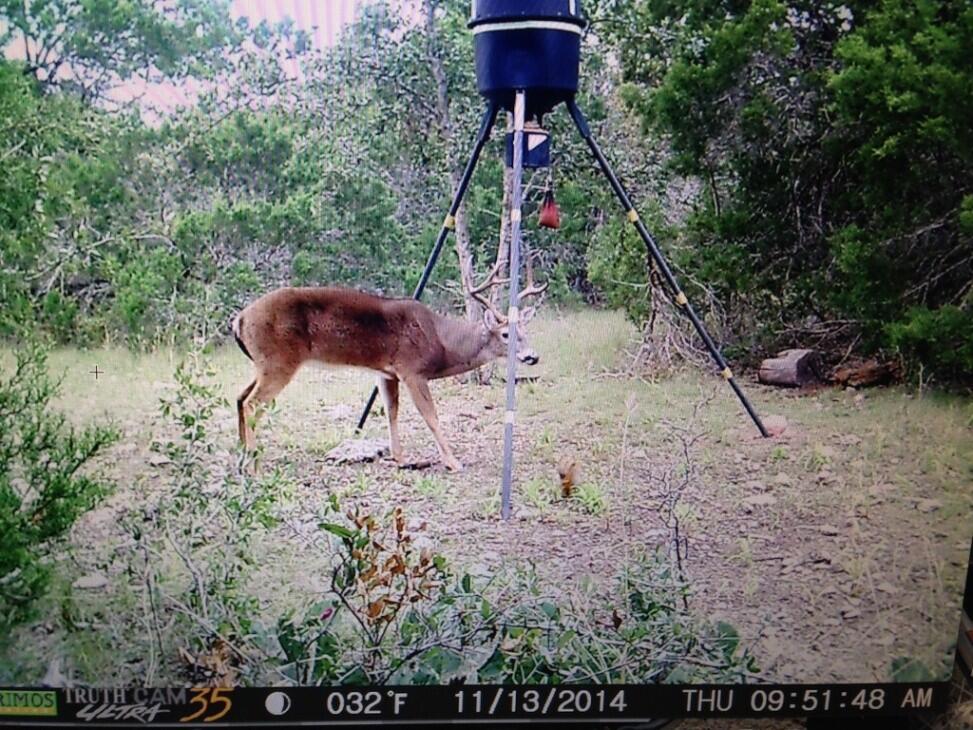 22.36 Acres, Lake Belton for Sale in Gatesville Farm & Ranch