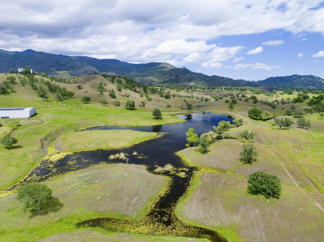 Diamond Back Ranch Paskenta, CA Tehama County Land for Sale