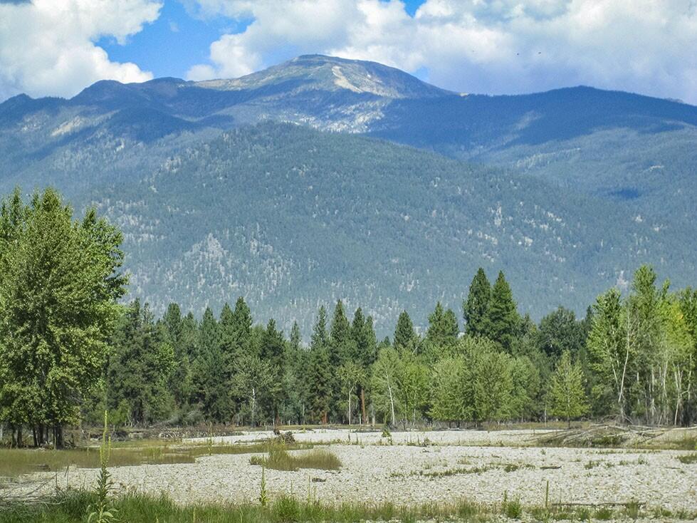 Bitterroot River Retreat for Sale in Victor, MT Ravalli County Farm