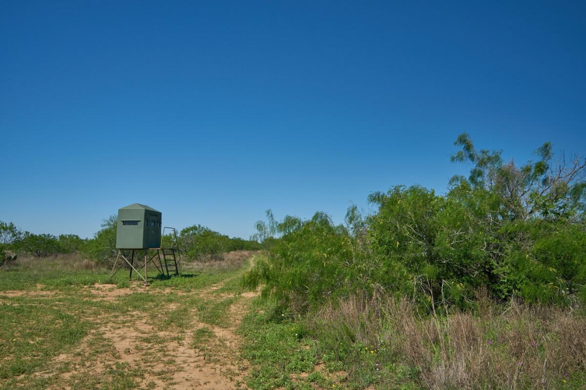 La India Ranch for Sale in Realitos, TX Farm & Ranch