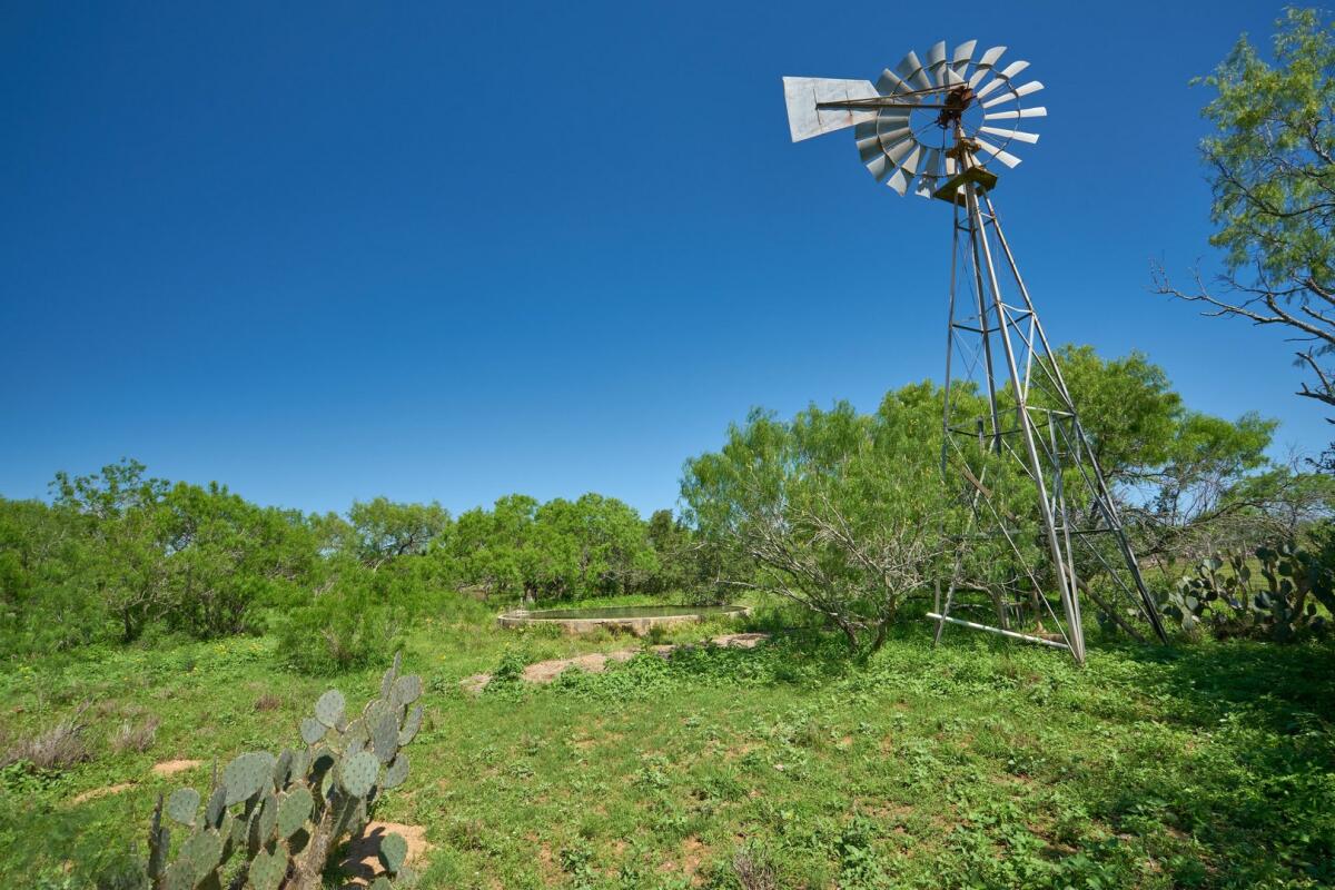 La India Ranch for Sale in Realitos, TX Farm & Ranch