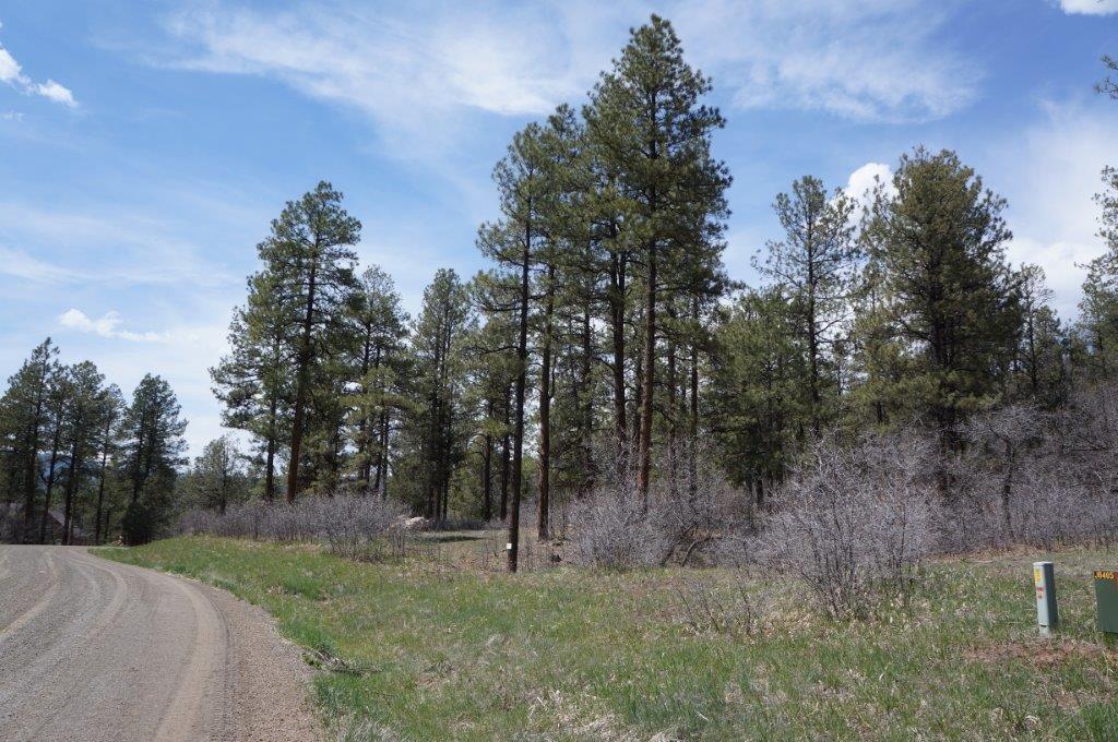 Elk Park Meadows (MLS No. 694663) for Sale in Pagosa Springs, CO