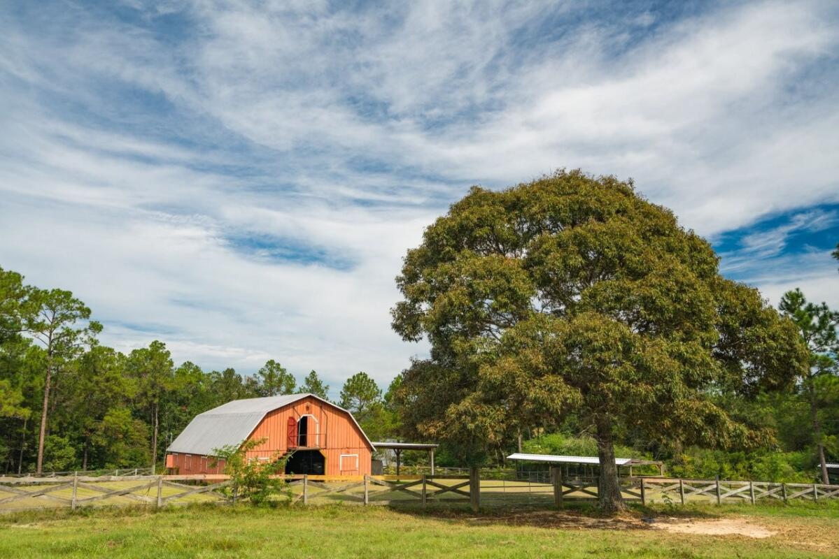 Hickory Creek Farm for Sale in Caesar, MS Hancock County Farm & Ranch
