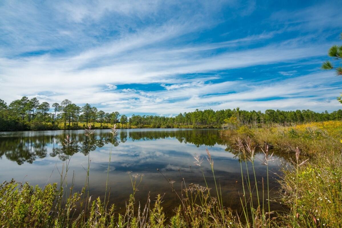 Hickory Creek Farm for Sale in Caesar, MS Hancock County Farm & Ranch