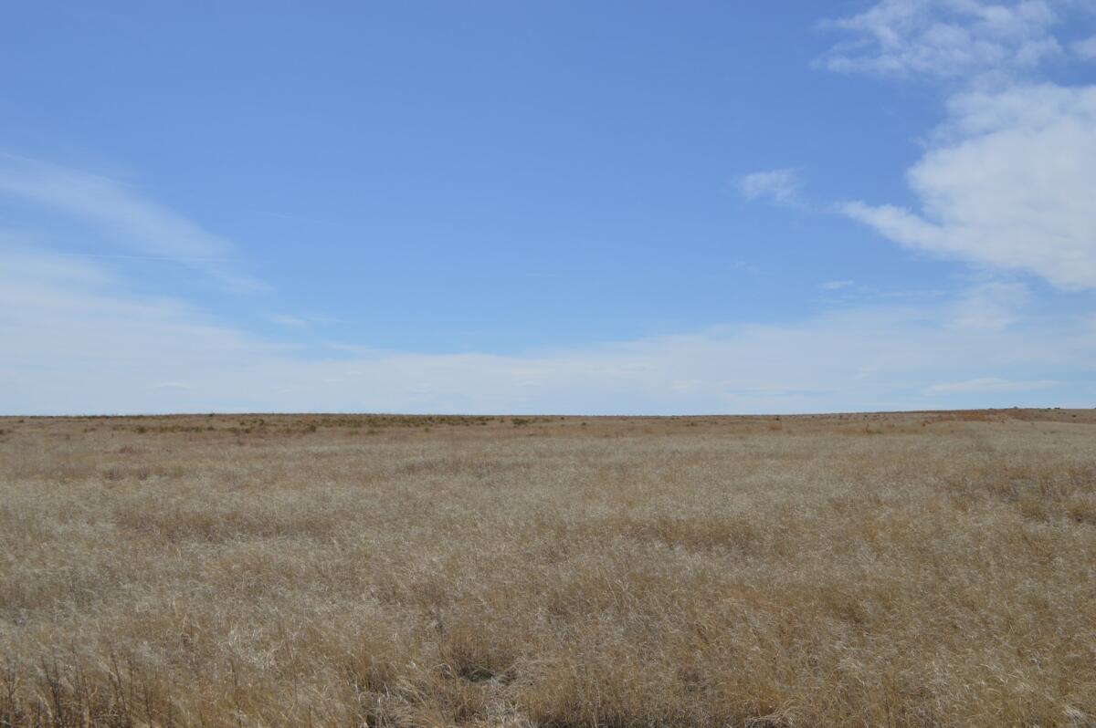 320 Acres CRP in Kiowa County for Sale in Eads, CO Kiowa County