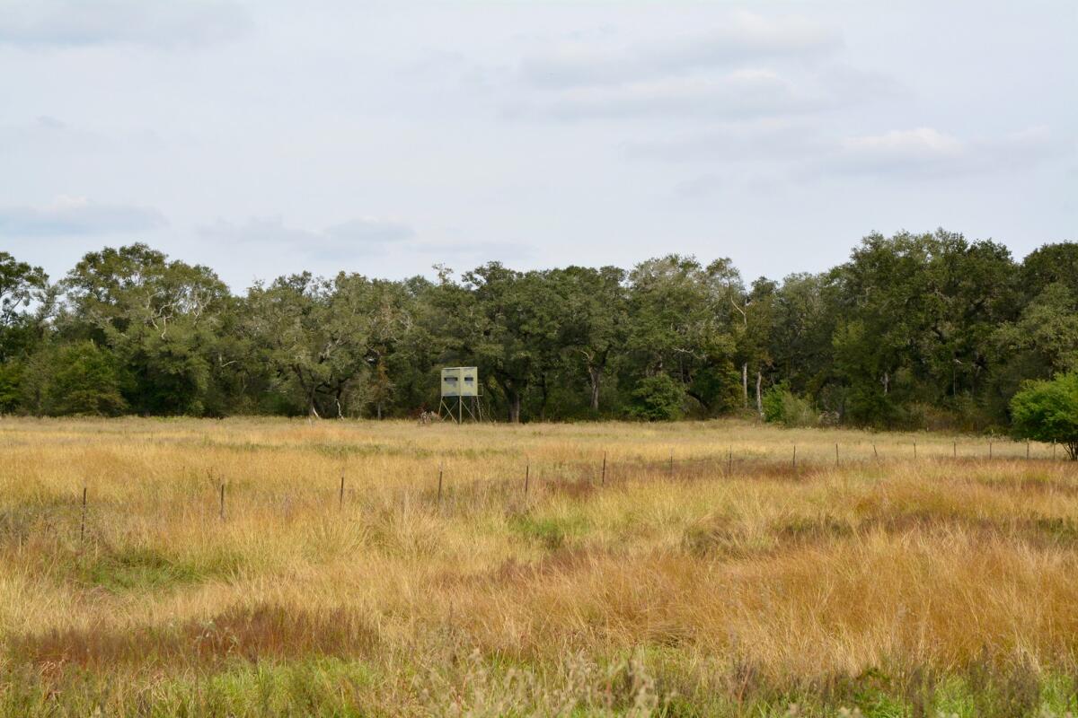 J Fly Loose Ranch for Sale in Hallettsville, TX Farm & Ranch