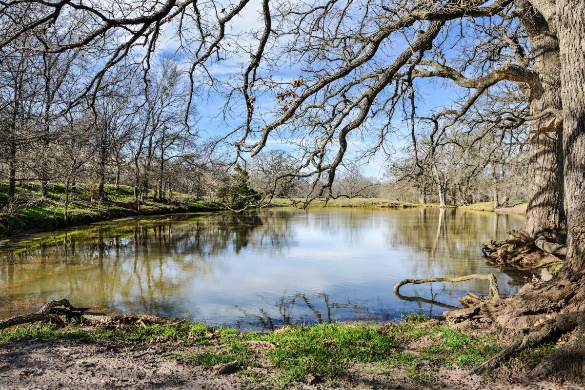 McLennan County Ranch for Sale in Elm Mott, TX McLennan County Farm
