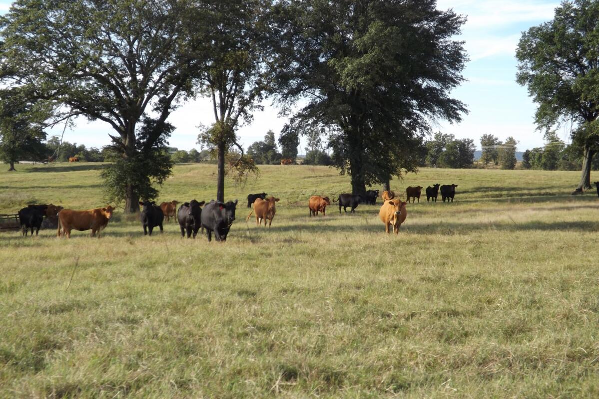 Hanna Ranch 507SKB for Sale in Hanna, OK McIntosh County Farm & Ranch