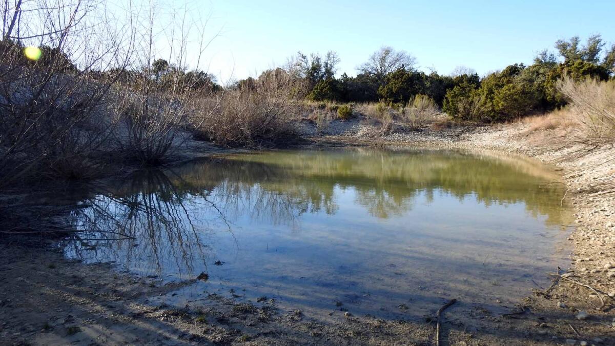 30.9 Acres, Stillman Valley Road, Florence for Sale in Florence, TX