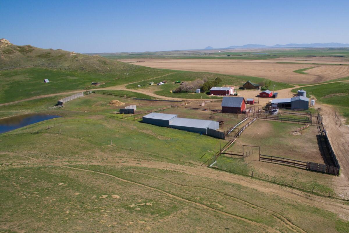 Fergus County Farm and Ranch for Sale in Winifred, MT Fergus County