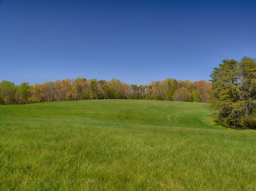 Oak Tree Farm Louisa, VA Louisa County Land for Sale Farm & Ranch